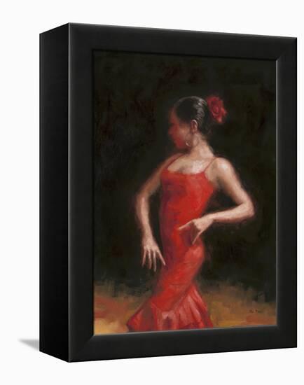 Flamenco II-Patrick Mcgannon-Framed Stretched Canvas