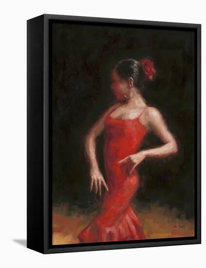 Flamenco II-Patrick Mcgannon-Framed Stretched Canvas