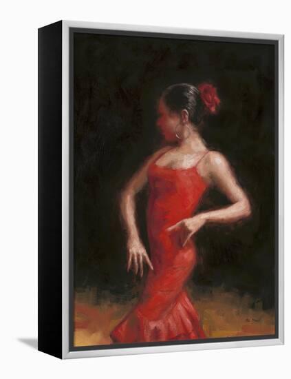 Flamenco II-Patrick Mcgannon-Framed Stretched Canvas