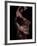 Flamenco-Tim Kahane-Framed Photographic Print