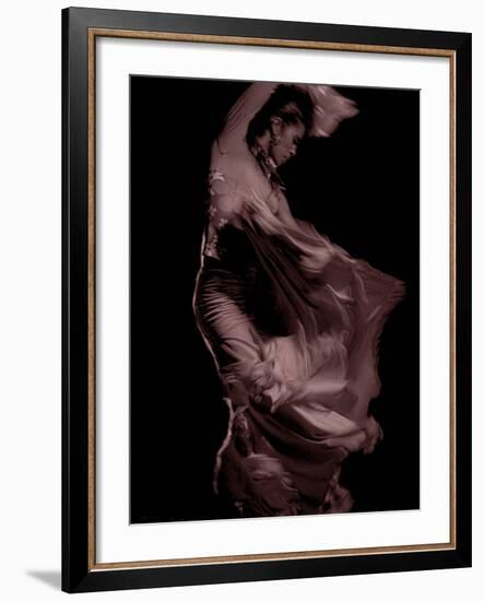 Flamenco-Tim Kahane-Framed Photographic Print