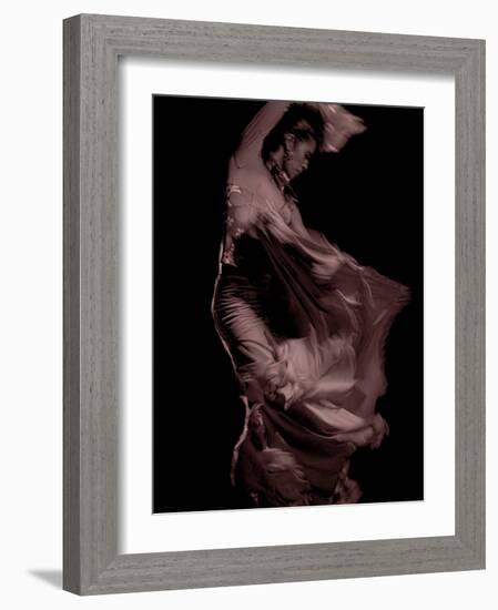 Flamenco-Tim Kahane-Framed Photographic Print