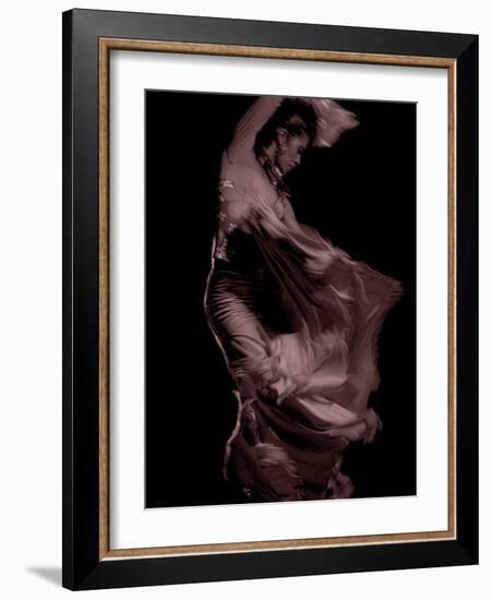 Flamenco-Tim Kahane-Framed Photographic Print