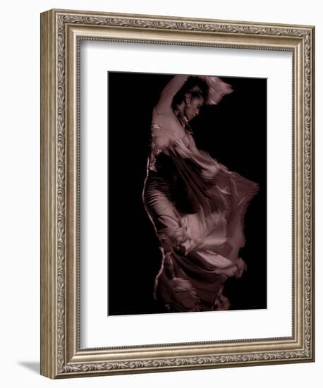 Flamenco-Tim Kahane-Framed Photographic Print