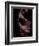 Flamenco-Tim Kahane-Framed Photographic Print