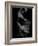 Flamenco-Tim Kahane-Framed Photographic Print