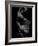 Flamenco-Tim Kahane-Framed Photographic Print