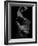 Flamenco-Tim Kahane-Framed Photographic Print