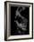 Flamenco-Tim Kahane-Framed Photographic Print