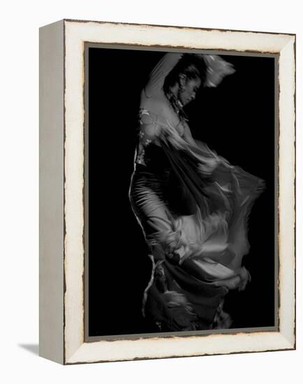 Flamenco-Tim Kahane-Framed Premier Image Canvas