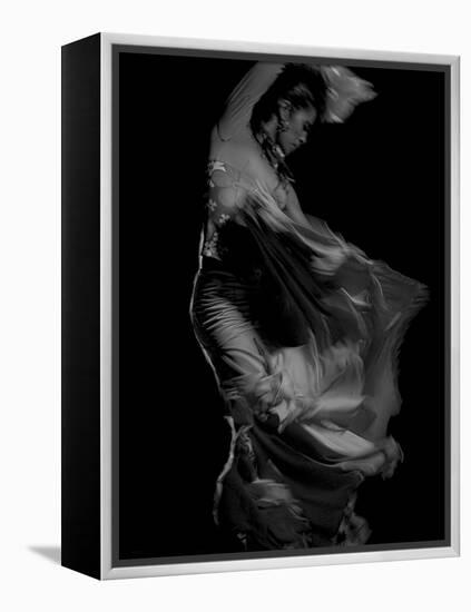 Flamenco-Tim Kahane-Framed Premier Image Canvas