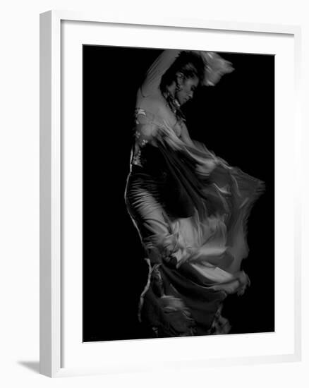 Flamenco-Tim Kahane-Framed Photographic Print