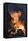 Flames From a Bonfire-Mark Williamson-Framed Premier Image Canvas