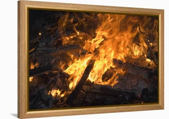 Flames From a Bonfire-Mark Williamson-Framed Premier Image Canvas