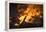 Flames From a Bonfire-Mark Williamson-Framed Premier Image Canvas