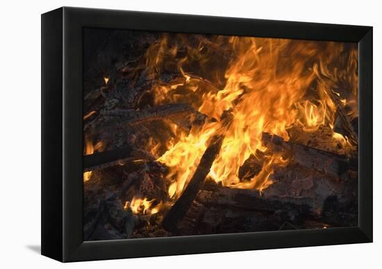 Flames From a Bonfire-Mark Williamson-Framed Premier Image Canvas