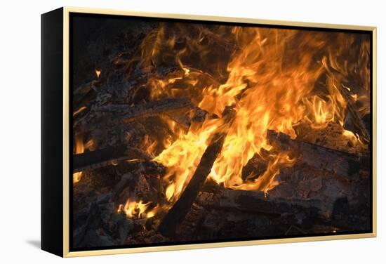 Flames From a Bonfire-Mark Williamson-Framed Premier Image Canvas