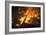 Flames From a Bonfire-Mark Williamson-Framed Photographic Print