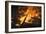 Flames From a Bonfire-Mark Williamson-Framed Photographic Print