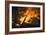 Flames From a Bonfire-Mark Williamson-Framed Photographic Print