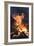 Flames From a Bonfire-Mark Williamson-Framed Photographic Print