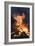 Flames From a Bonfire-Mark Williamson-Framed Photographic Print