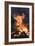 Flames From a Bonfire-Mark Williamson-Framed Photographic Print