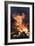 Flames From a Bonfire-Mark Williamson-Framed Photographic Print