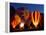 Flames Light up the Evening as Hot Air Balloonists Participate-null-Framed Premier Image Canvas