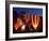 Flames Light up the Evening as Hot Air Balloonists Participate-null-Framed Photographic Print