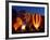 Flames Light up the Evening as Hot Air Balloonists Participate-null-Framed Photographic Print