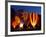 Flames Light up the Evening as Hot Air Balloonists Participate-null-Framed Photographic Print