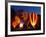 Flames Light up the Evening as Hot Air Balloonists Participate-null-Framed Photographic Print