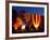 Flames Light up the Evening as Hot Air Balloonists Participate-null-Framed Photographic Print