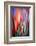 Flames-Ursula Abresch-Framed Photographic Print