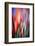 Flames-Ursula Abresch-Framed Photographic Print