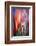 Flames-Ursula Abresch-Framed Photographic Print