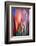 Flames-Ursula Abresch-Framed Photographic Print