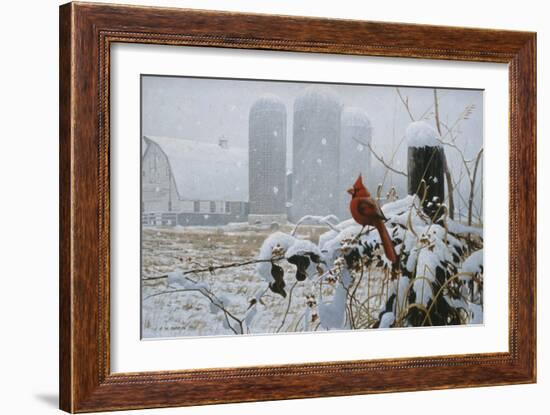 Flaming Glory-Michael Budden-Framed Giclee Print