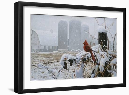 Flaming Glory-Michael Budden-Framed Giclee Print