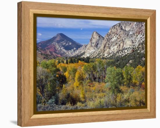 Flaming Gorge NRA, Utah. Overlook into Sheep Creek Canyon in Autumn-Scott T. Smith-Framed Premier Image Canvas