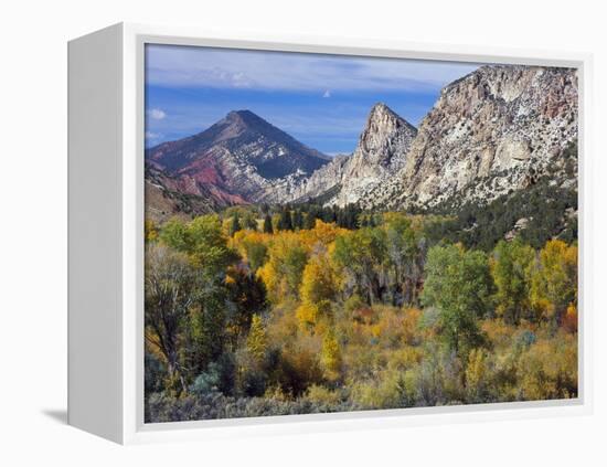 Flaming Gorge NRA, Utah. Overlook into Sheep Creek Canyon in Autumn-Scott T. Smith-Framed Premier Image Canvas