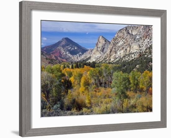 Flaming Gorge NRA, Utah. Overlook into Sheep Creek Canyon in Autumn-Scott T. Smith-Framed Photographic Print