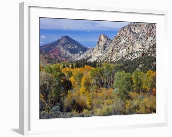 Flaming Gorge NRA, Utah. Overlook into Sheep Creek Canyon in Autumn-Scott T. Smith-Framed Photographic Print