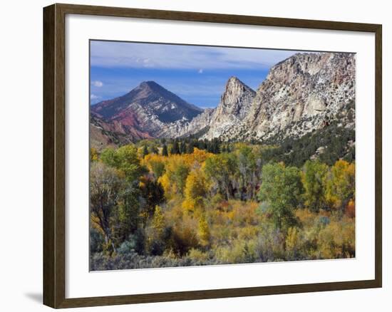 Flaming Gorge NRA, Utah. Overlook into Sheep Creek Canyon in Autumn-Scott T. Smith-Framed Photographic Print