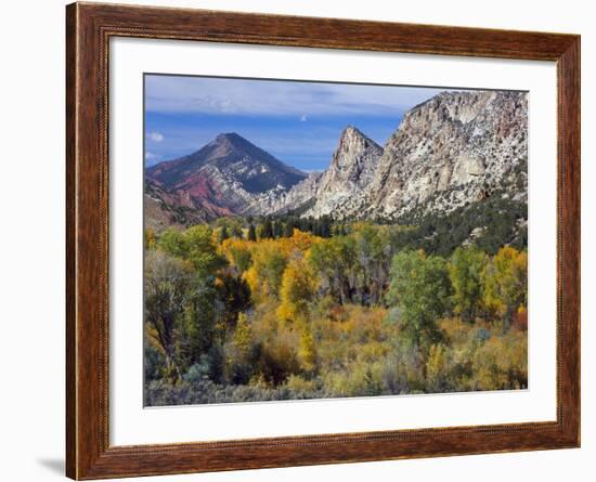 Flaming Gorge NRA, Utah. Overlook into Sheep Creek Canyon in Autumn-Scott T. Smith-Framed Photographic Print