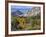 Flaming Gorge NRA, Utah. Overlook into Sheep Creek Canyon in Autumn-Scott T. Smith-Framed Photographic Print