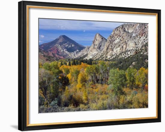 Flaming Gorge NRA, Utah. Overlook into Sheep Creek Canyon in Autumn-Scott T. Smith-Framed Photographic Print