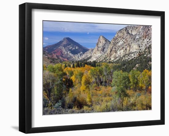 Flaming Gorge NRA, Utah. Overlook into Sheep Creek Canyon in Autumn-Scott T. Smith-Framed Photographic Print