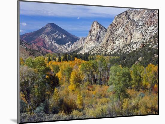 Flaming Gorge NRA, Utah. Overlook into Sheep Creek Canyon in Autumn-Scott T. Smith-Mounted Photographic Print